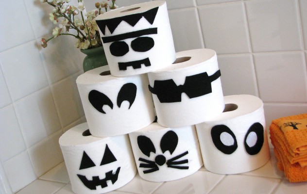 Toilet paper disguises